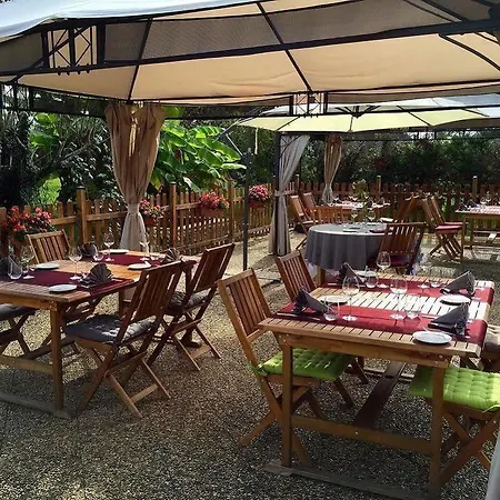 Hotel Les Rives Du Plantie 4*